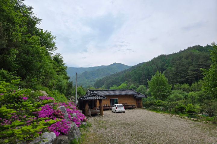 고랭지 황토 흙집방 0번째 이미지