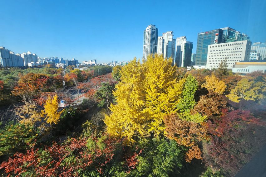 여의도최고급트럼프월드