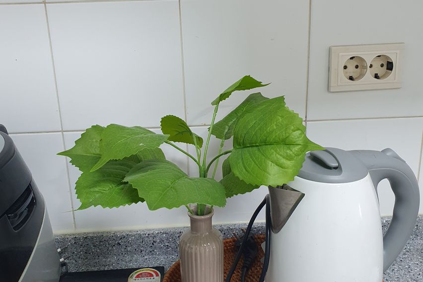 ♡수서역바로3인주차♡