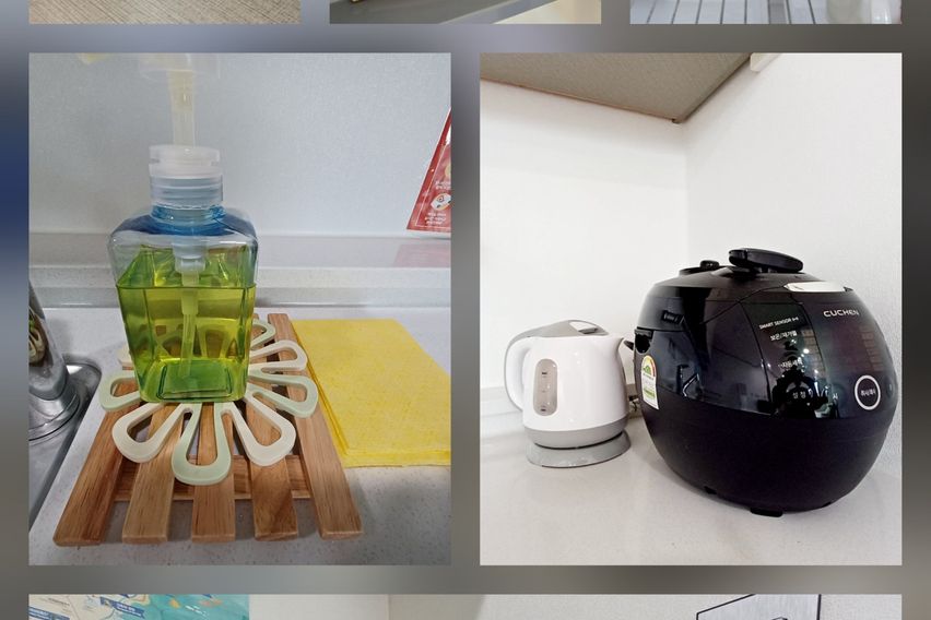 서귀포 감귤밭 숙소