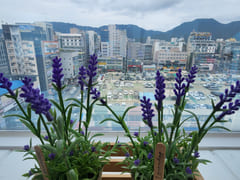 Convenient living in downtown Changwon 15th image