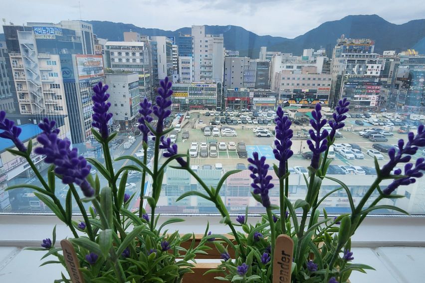 창원도심 생활편리