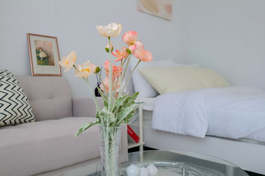 ✨️햇살가득 통창 뷰🌿