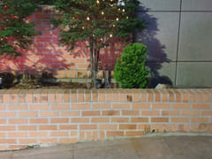 Yeonhyang-dong Safe Housing 0th image