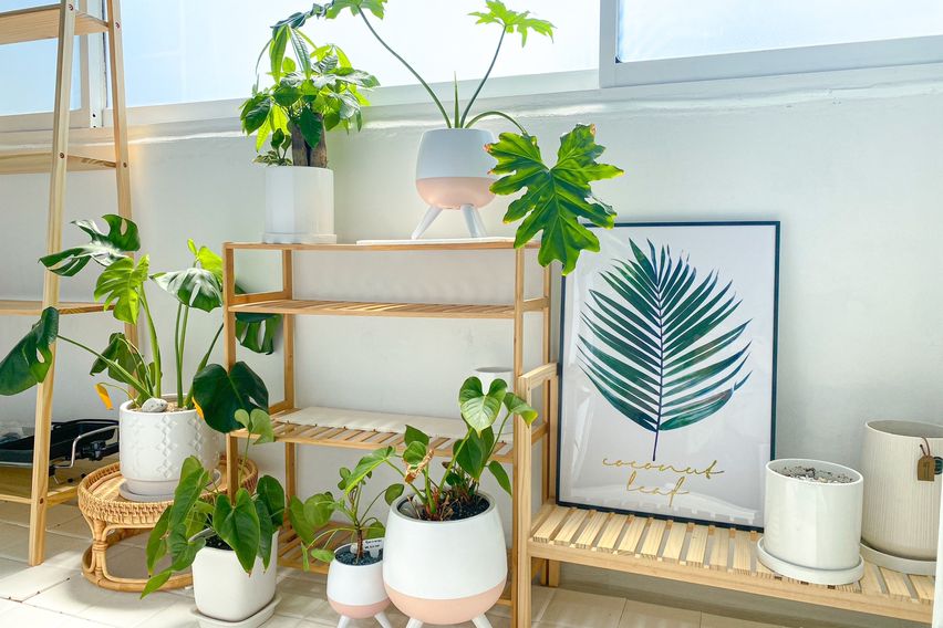 J하우스 루프탑단독사용