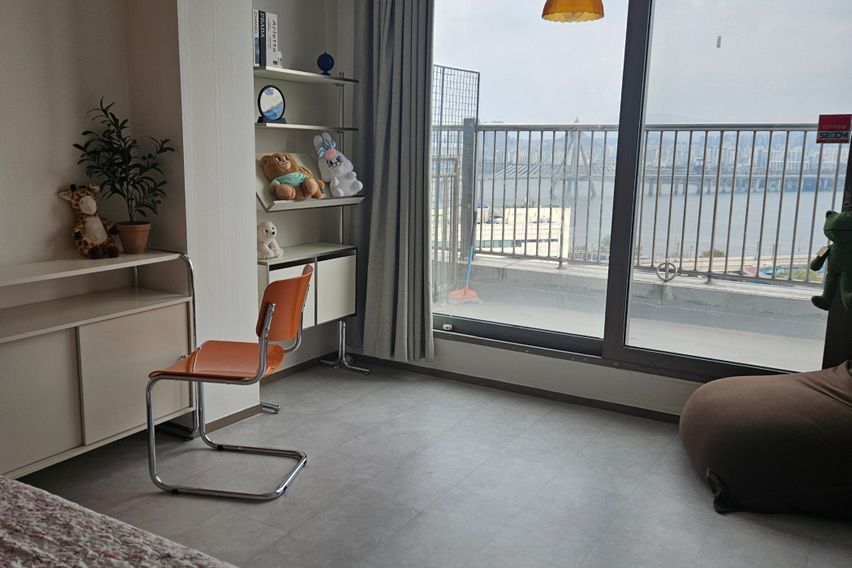 한강뷰 with 고양이