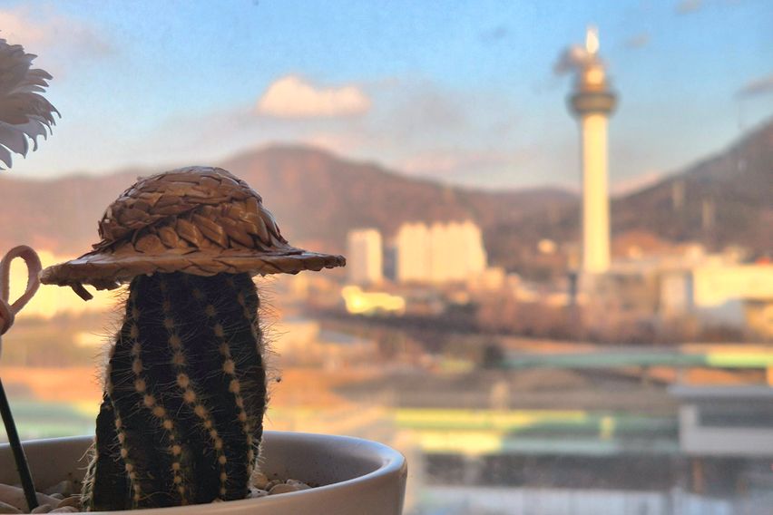 🏡양산부산대병원 인근