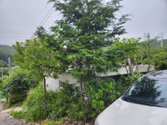 Studio apartment in Ganghwa-do 6th image