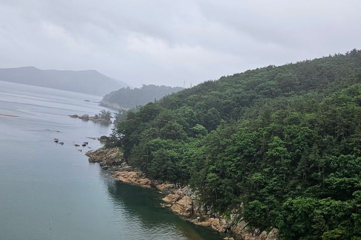 오션 8번째 이미지