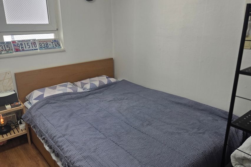 삼성역일주일기준/최저가