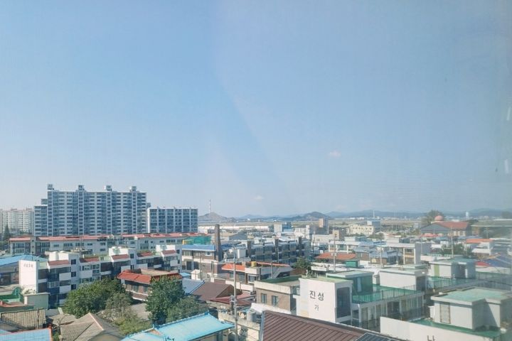   🍀초록 스위트  2번째 이미지