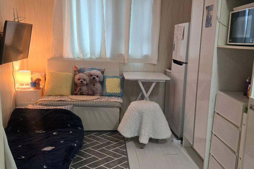 😽킴바 화정역3분 