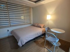 Lux 300 N 3번째 이미지