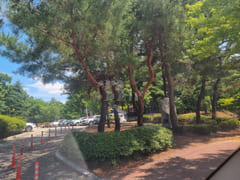 #SunHospital Internship – 1-Minute Walk! 17th image