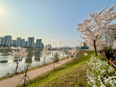 미사역 신축 헤리움 D 18번째 이미지