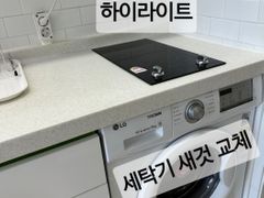 🎯성수서울숲뚝섬반려견 10번째 이미지