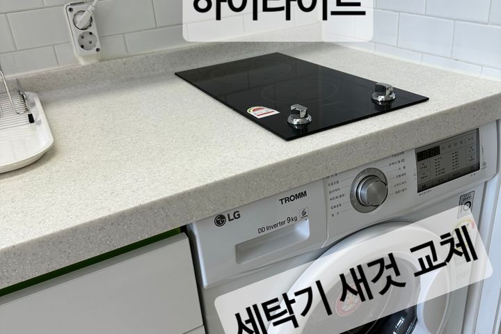 🎯성수서울숲뚝섬반려견 10번째 이미지