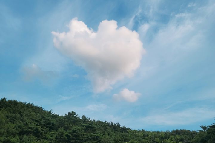 환호공원뷰 바닷가근처 1번째 이미지