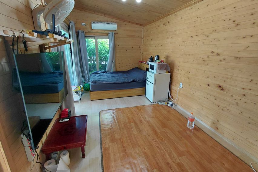 반려동물과 단독으로 4번째 이미지