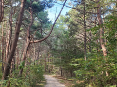 고성쉼하우스 17번째 이미지