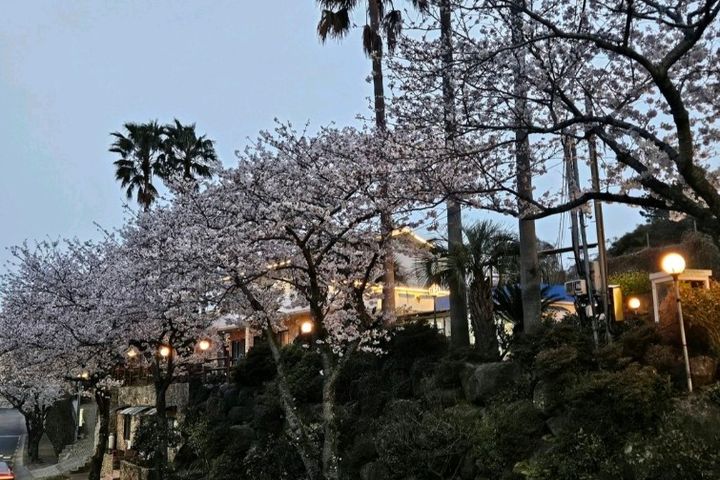 [Chinese] Walk & Quiet Accommodation 11th image