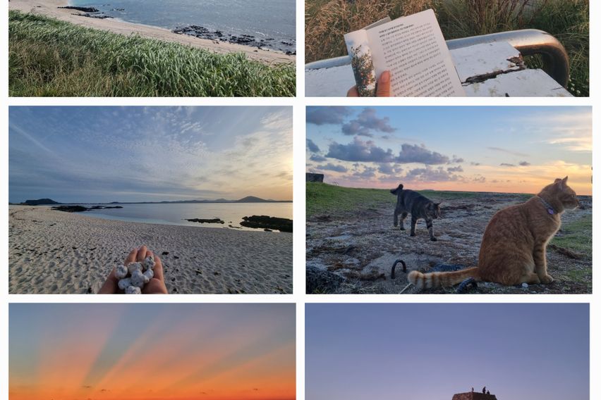 Udo Island, more special than Jeju 15th image