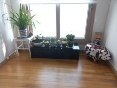 경주주랑아랑 감성3룸 3번째 이미지