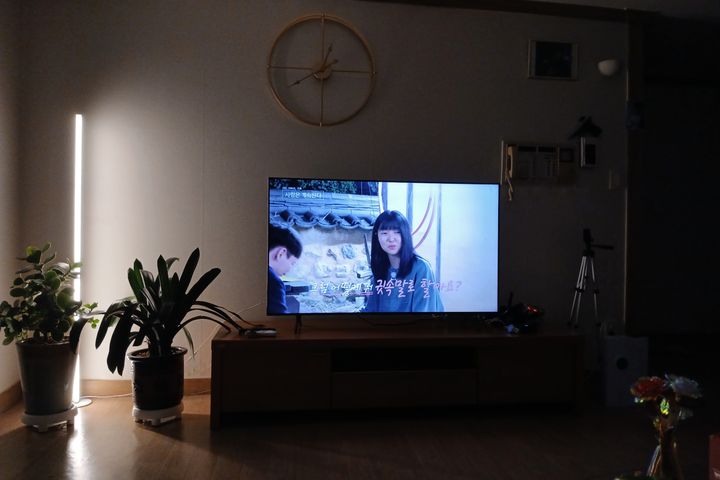 대전 영화촬영지 숲힐링 4번째 이미지