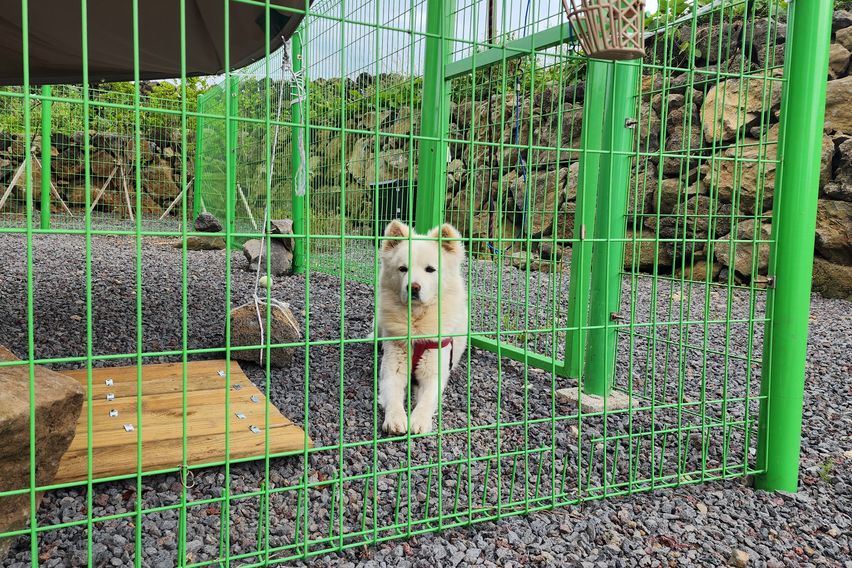 김녕신축오션뷰B201