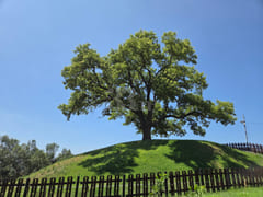 Gyeongsan Jinnyang Free Parking Business Trip 13th image