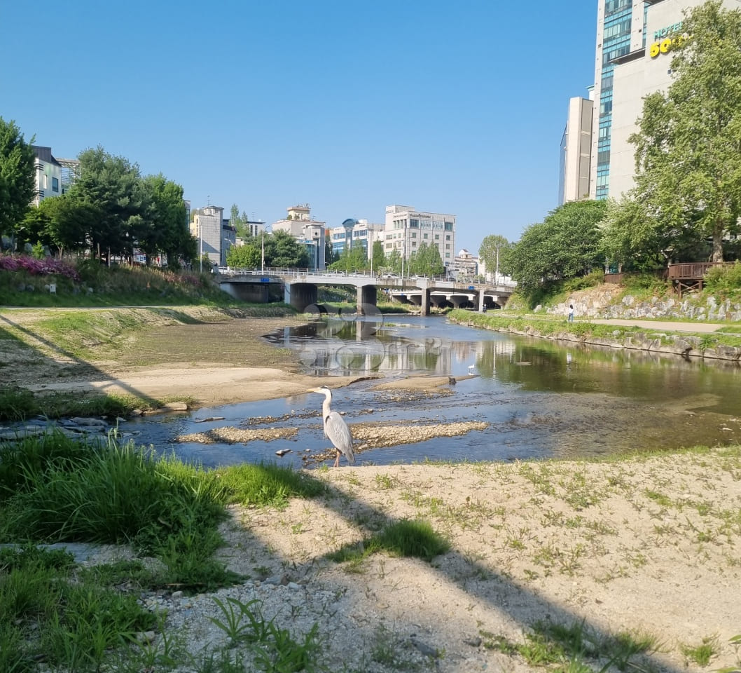 Chungnam National University, Daejeon Yuseong 17th image