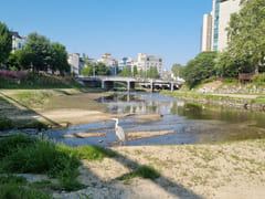 Chungnam National University, Daejeon Yuseong 17th image