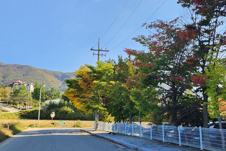 용평리조트 대관령 원룸 9번째 이미지