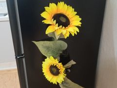 해바라기 0번째 이미지