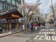 Ikseon-dong/Jongno/Gyeongbokgung 15th image