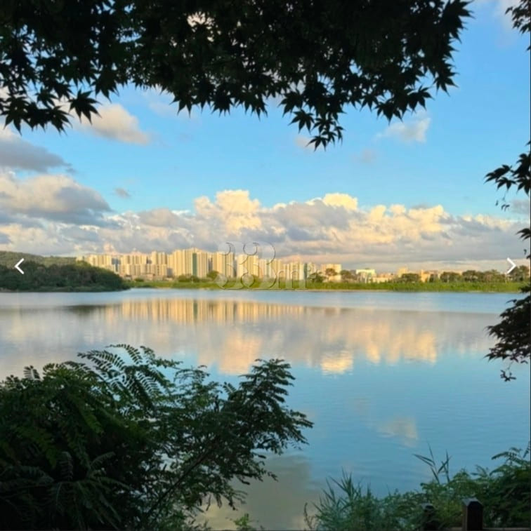 Seoul National University campus, newlyweds' 17th image