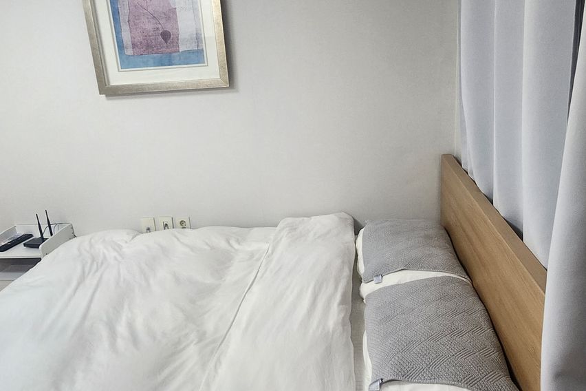 부산갈매기 501 특가