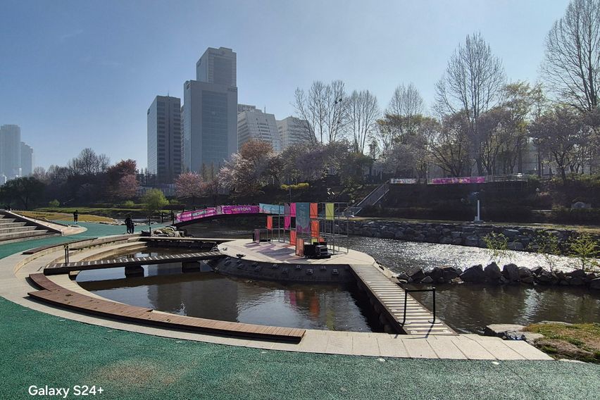 벚꽃양재카페공원 바로앞 17번째 이미지