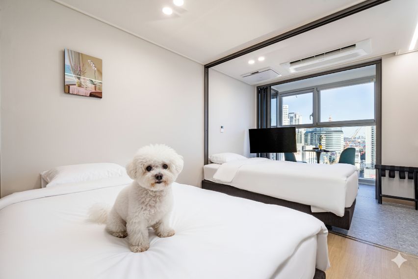 범일역 애견동반호텔 1번째 이미지