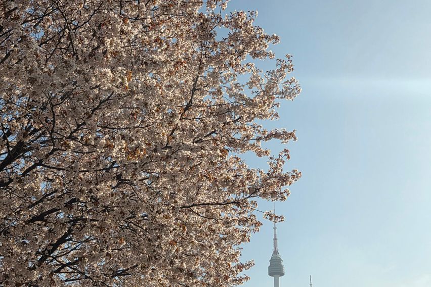 서울 남산 🚠 VIEW 13번째 이미지