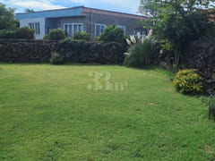 Stone Wall House (Pet-Friendly) 2th image