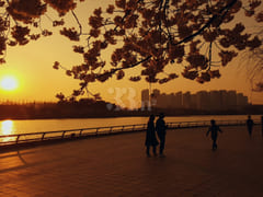 lake1 6번째 이미지