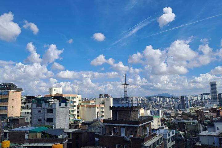 낙산홈 12번째 이미지