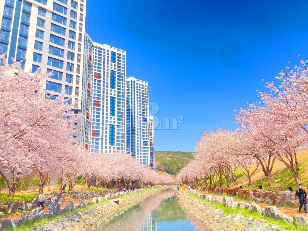 Yeongdo Ocean View Private House #Rest 19th image