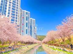 Yeongdo Ocean View Private House #Rest 19th image