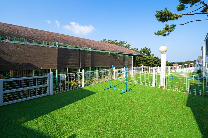 애월/풀옵션/반려동물 7번째 이미지