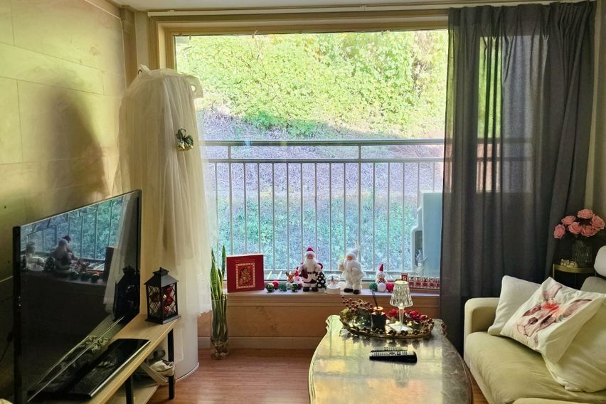 성남 판교 다세대주택 0번째 이미지