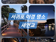 Seogwipo 🍀 Olle Market 🍀 Fully Furnished 17th image