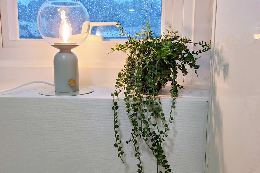 [거제]가성비갑초깨끗C