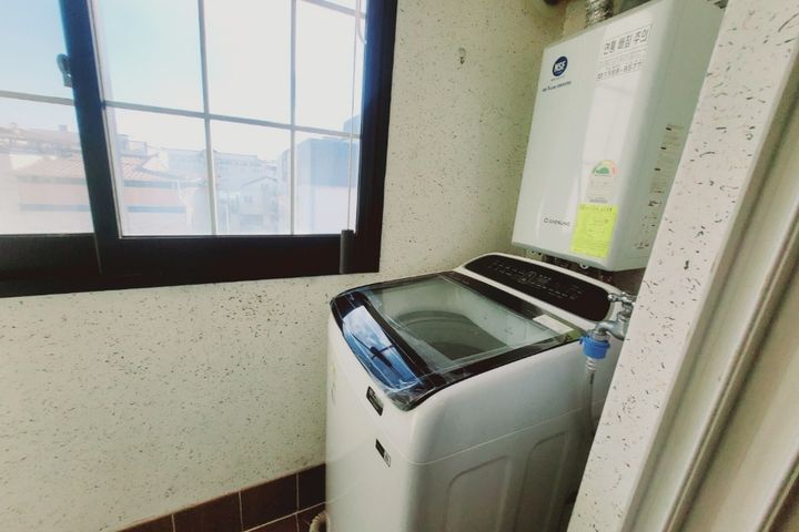 민들레 5번째 이미지